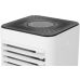 Мобильный кондиционер WetAir WPAC-M09K